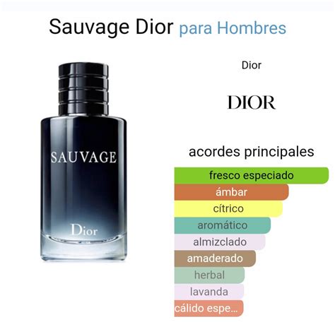 equivalente dior sauvage|sauvage dior fragrantica.